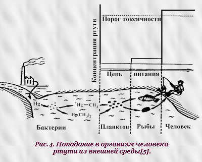 Рис.4. Попадание в организм человека ртути из внешней среды[5].